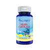 SHARK NUTRIFIT WEB