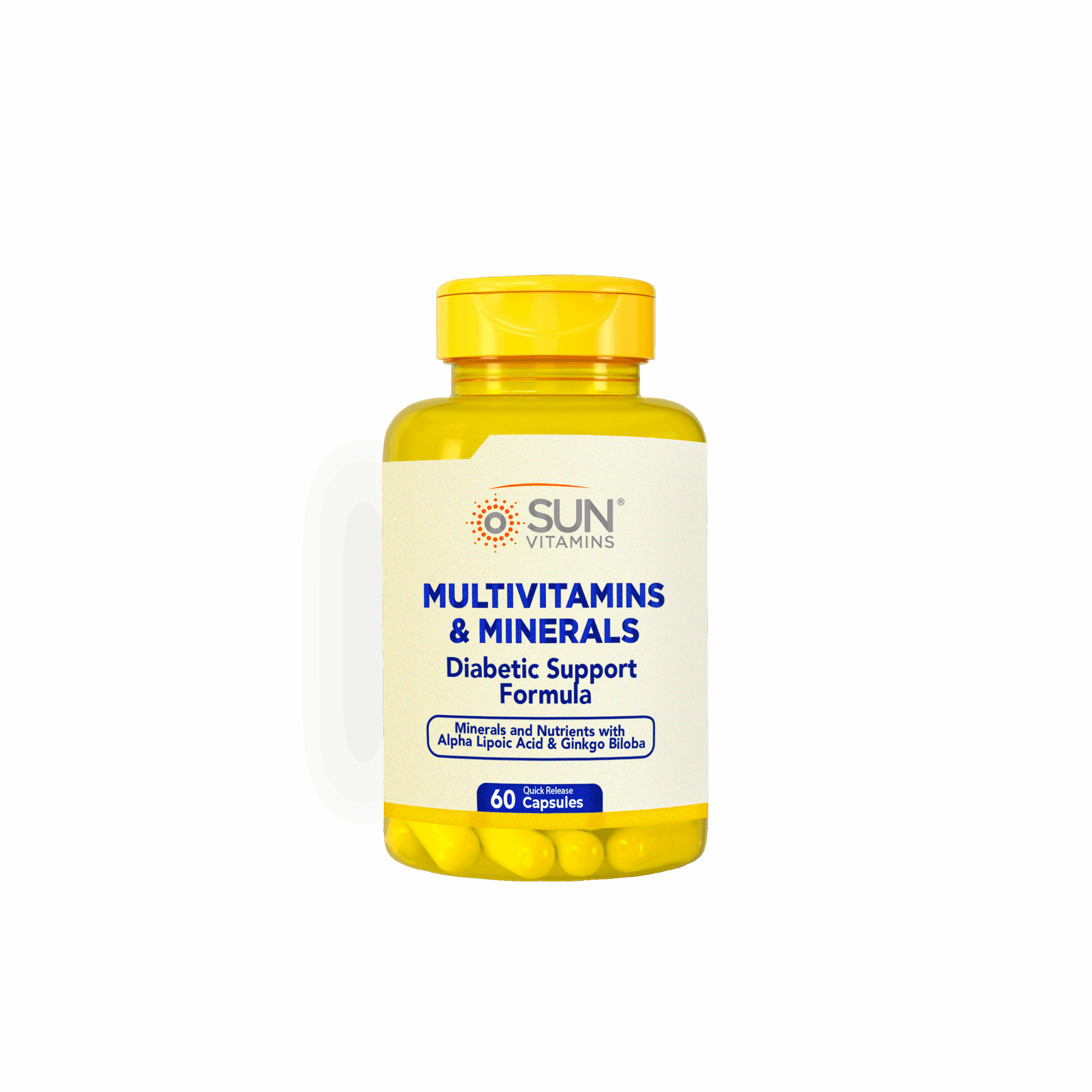 MULTIVITAMIN W.ALPHA LIP.ACID & GINKGO BILOBA