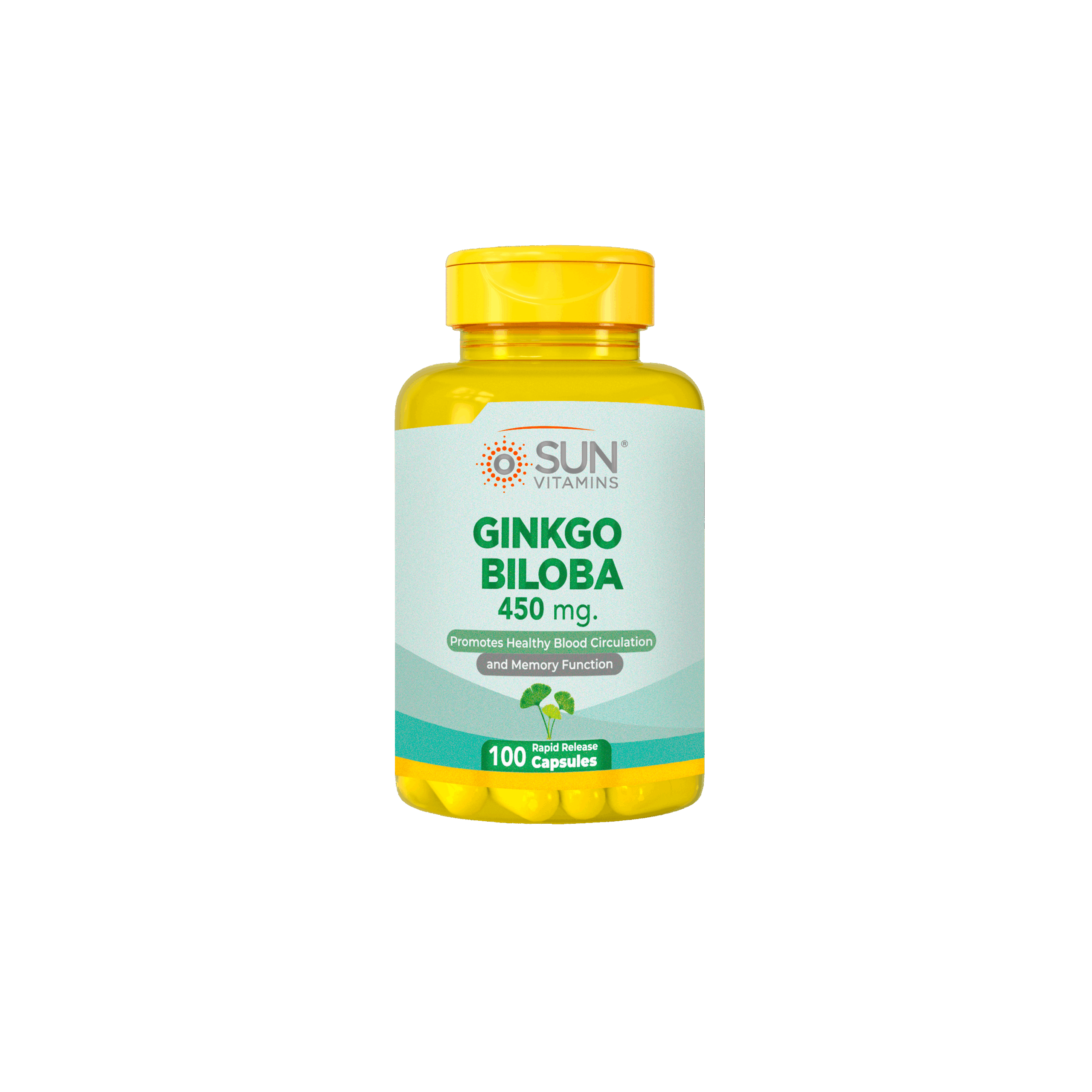 GINKGO BILOBA 450 mg